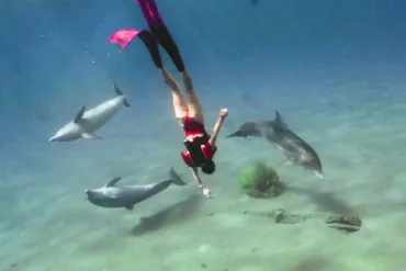 KikFin Shark Underwater Jet Pack